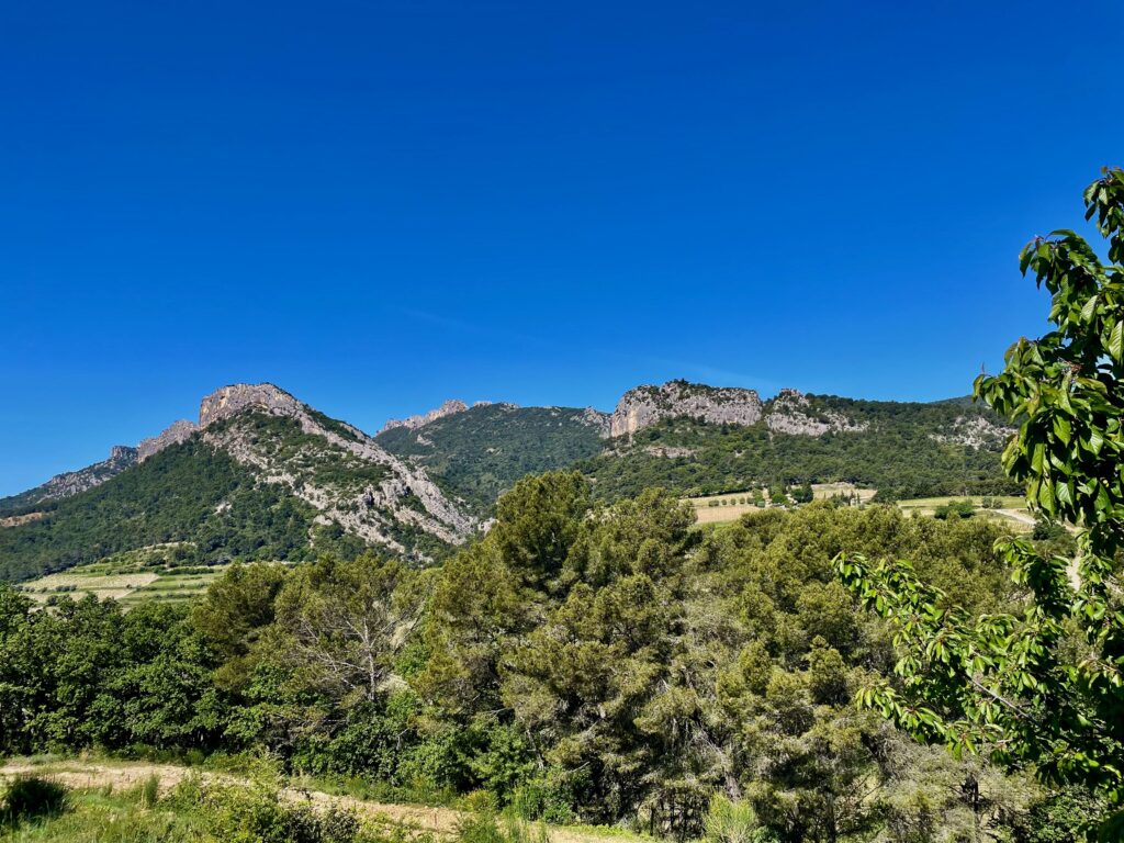 De Dentelles de Montmirail