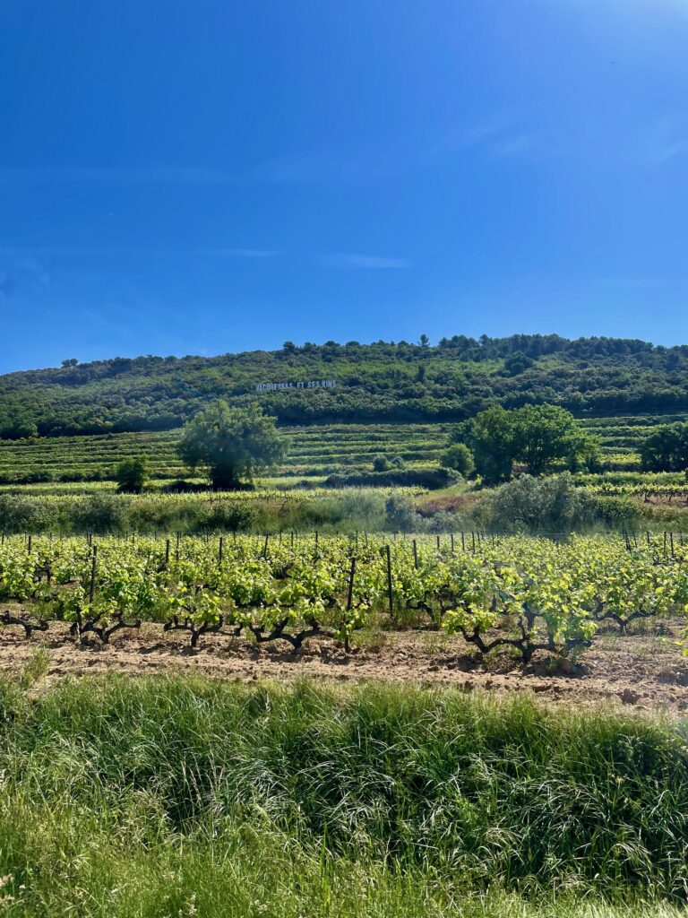 Roadtrip door de Dentelles de Montmirail: De wijngaarden van Vacqueyras langs de D7