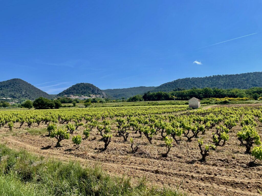 Roadtrip door de Dentelles de Montmirail: Séguret in zijn natuurlijke omgeving van wijngaarden en de Dentelles